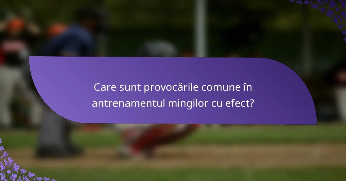 Care sunt provocările comune în antrenamentul mingilor cu efect?